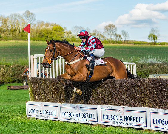 Race 7 - PPORA Novice Riders Race (55 of 114)