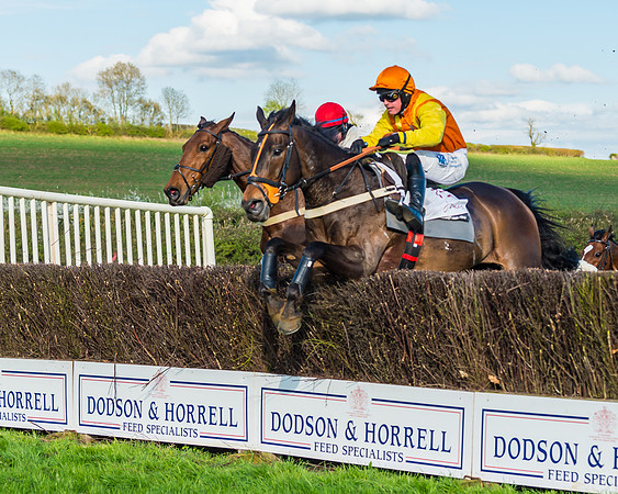 Race 7 - PPORA Novice Riders Race (56 of 114)