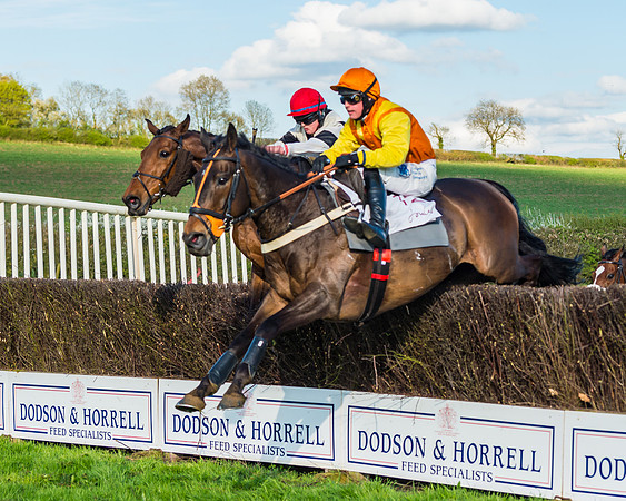 Race 7 - PPORA Novice Riders Race (57 of 114)