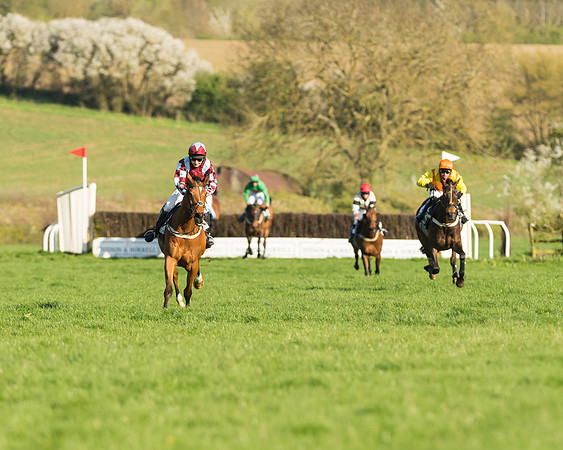 Race 7 - PPORA Novice Riders Race (66 of 114)