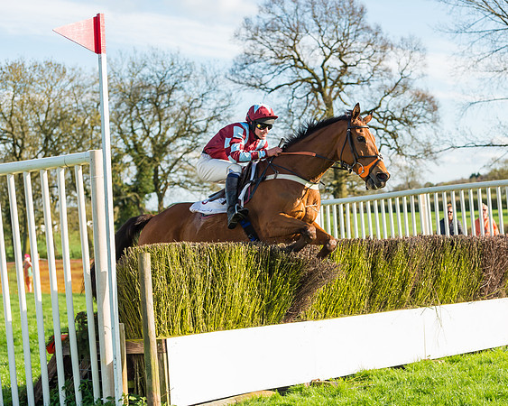 Race 7 - PPORA Novice Riders Race (68 of 114)
