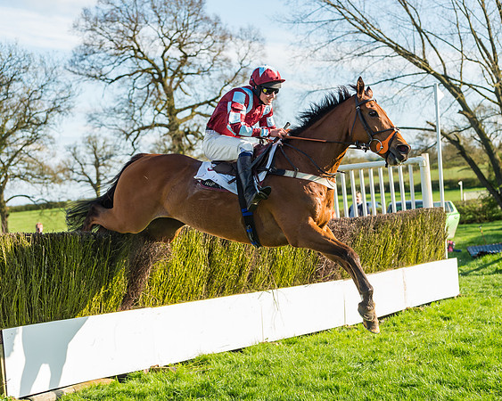 Race 7 - PPORA Novice Riders Race (70 of 114)