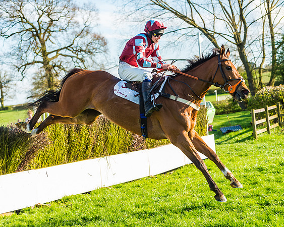 Race 7 - PPORA Novice Riders Race (71 of 114)