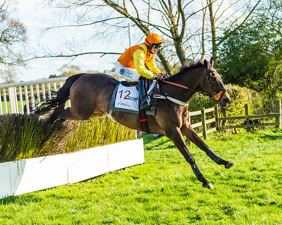 Race 7 - PPORA Novice Riders Race (74 of 114)