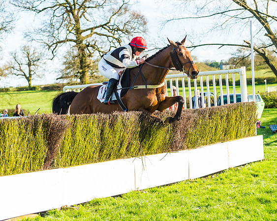 Race 7 - PPORA Novice Riders Race (75 of 114)
