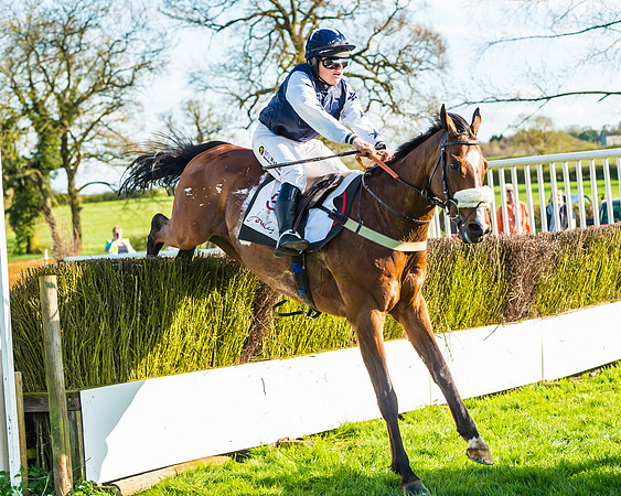 Race 7 - PPORA Novice Riders Race (83 of 114)