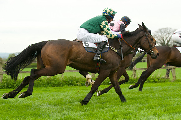 Race 4 - Nov-vets 42