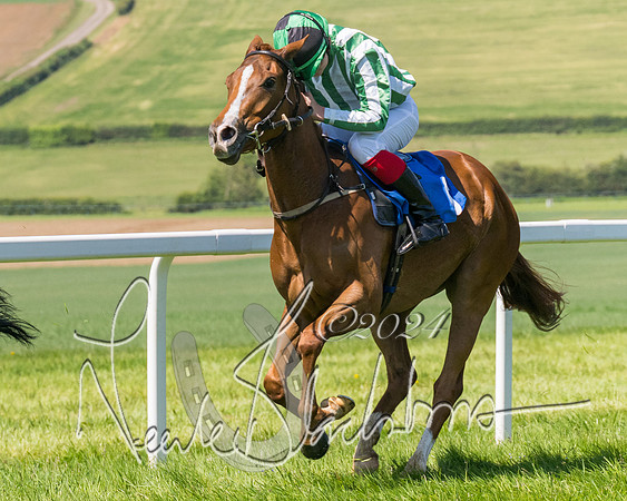 Pony Races  (88 of 141)