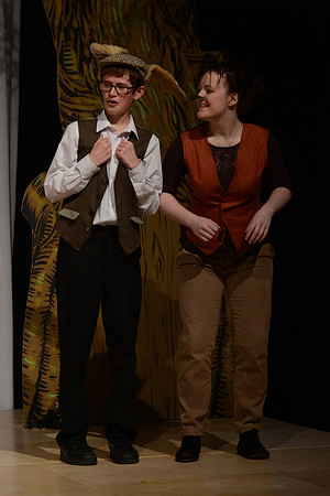 Wind in the Willows Dress 17