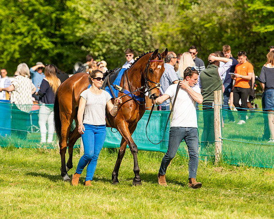 Race 6 - Maiden [2m4f] (4 of 135)
