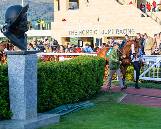 Race 6 - Dominic Chapman memorial  (17 of 319)