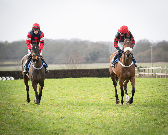 Race 1 - Four and Five year Old Maiden (45 of 137)