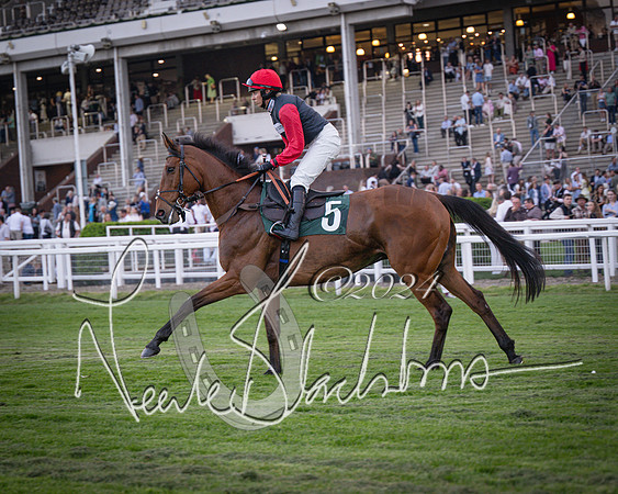 Race - 7 The Royal Gloucester Hussars Open Hunter's steeplechase 2m4f 127y (29 of 210)