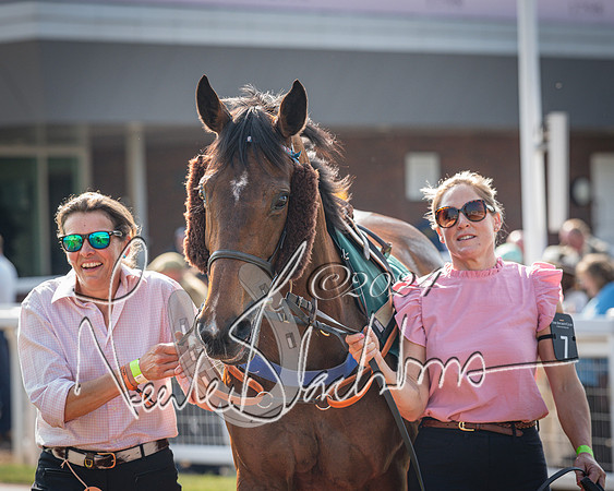 Race 1 - The Bottle Green Open Hunters steeplechase 2m62y (11 of 93)