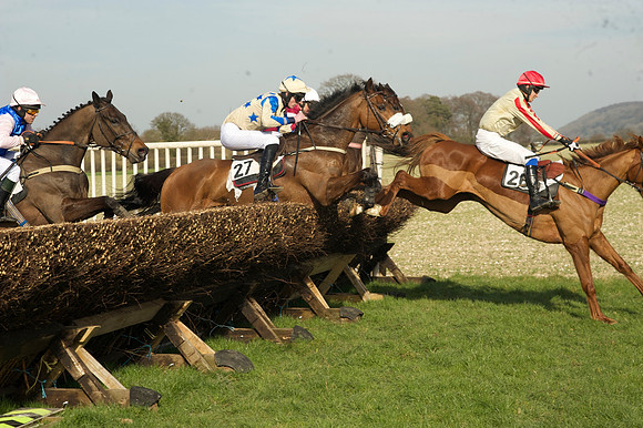 Race 2 Open Maiden Div 1 -  53