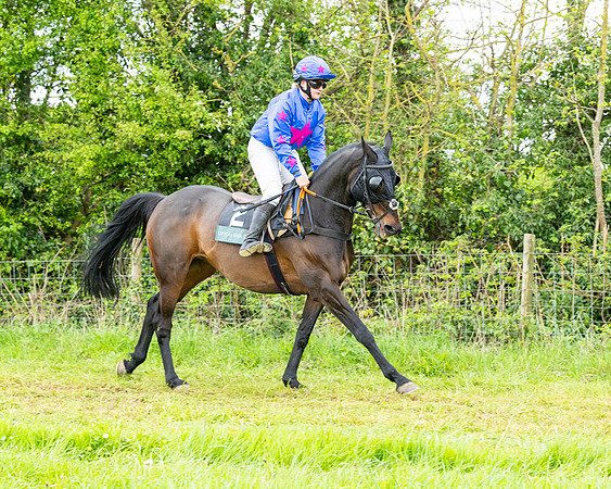 Race 2 - 2M4F Conditions (61 of 195)