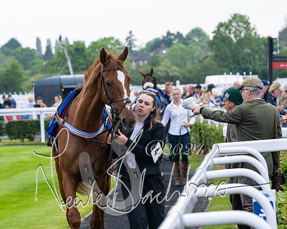 Race 1 - Restricted Novices Hunter Chase (21 of 145)