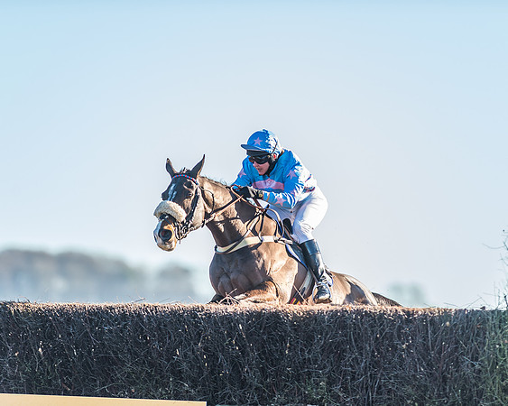 Race 1 - PPORA Novice Riders Race-37