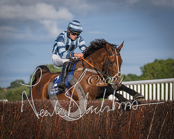 Race 4 - Peretemps Stratford Foxhunters (82 of 168)