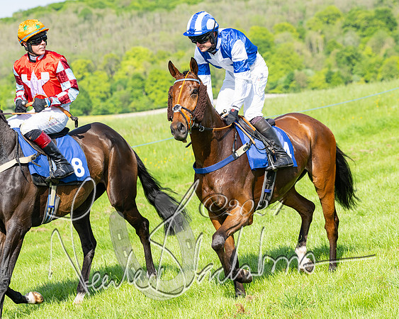 Race 5  - Maiden race 2m5F Div-1 (115 of 197)