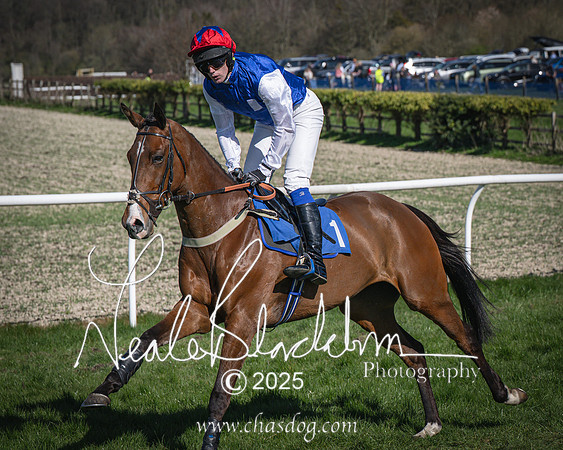 Race 6 - Veteran horse (30 of 109)