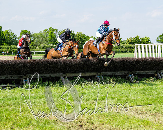 Race 3 - Ladies Open  (73 of 133)