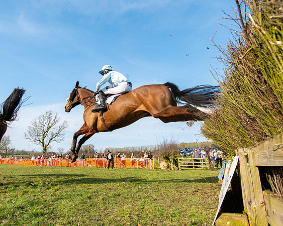 Race 5 - PPORA Five years and over (113 of 163)