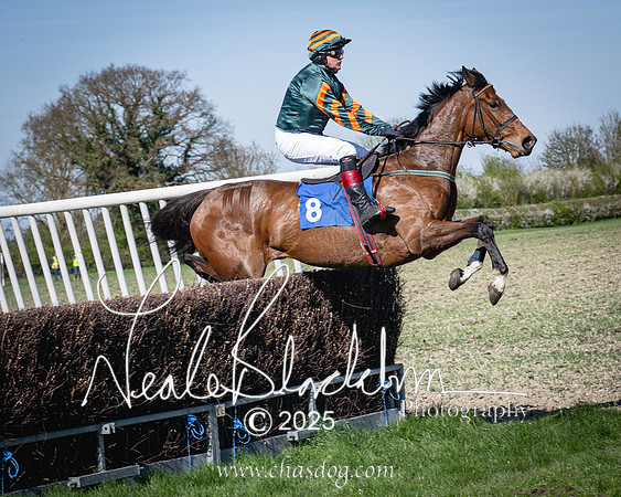Race 5 - The restricted (60 of 113)