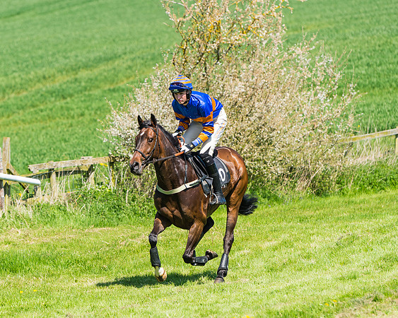 Fernie at Dingley 6th May 2018