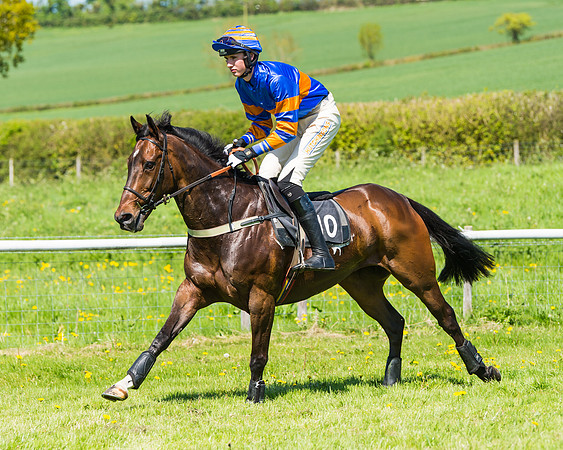 Fernie at Dingley 6th May 2018