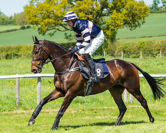 Fernie at Dingley 6th May 2018