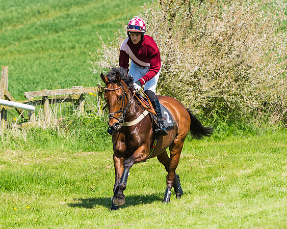 Fernie at Dingley 6th May 2018