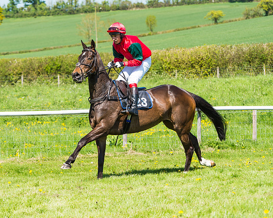 Fernie at Dingley 6th May 2018