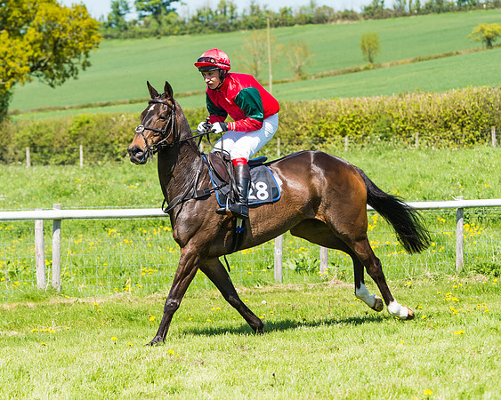 Fernie at Dingley 6th May 2018