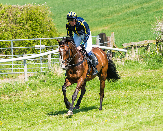 Fernie at Dingley 6th May 2018