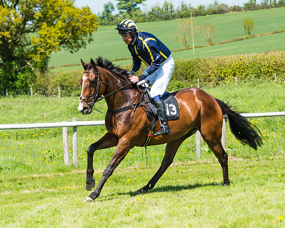 Fernie at Dingley 6th May 2018