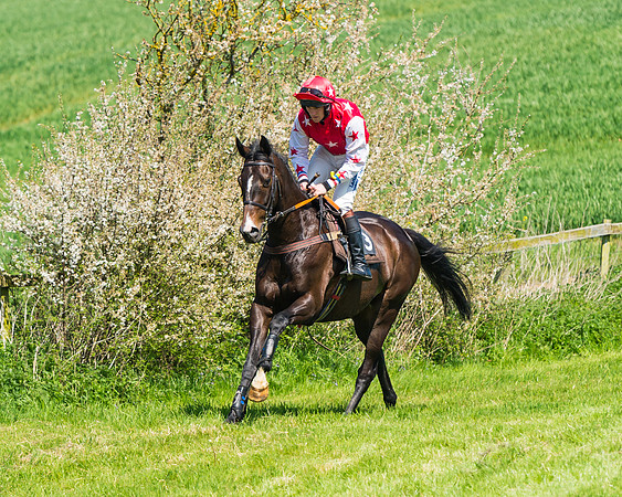 Fernie at Dingley 6th May 2018