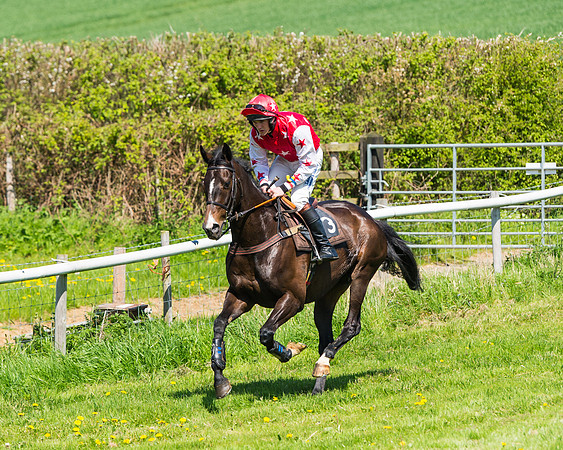 Fernie at Dingley 6th May 2018
