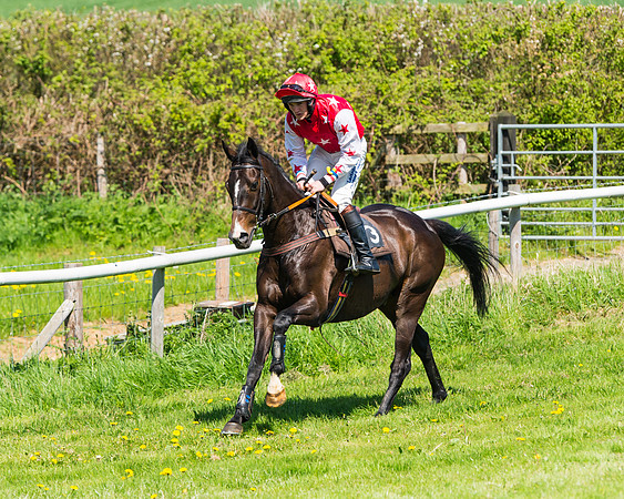 Fernie at Dingley 6th May 2018