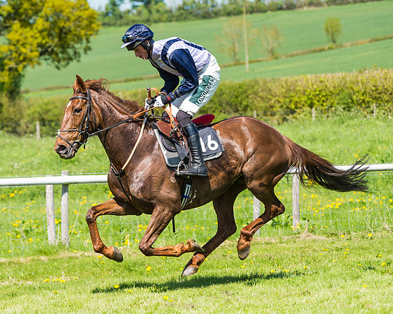 Fernie at Dingley 6th May 2018