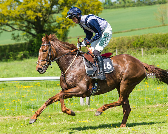Fernie at Dingley 6th May 2018