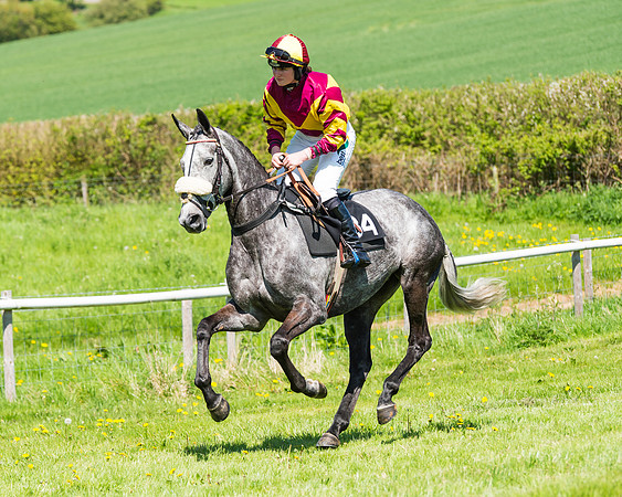 Fernie at Dingley 6th May 2018