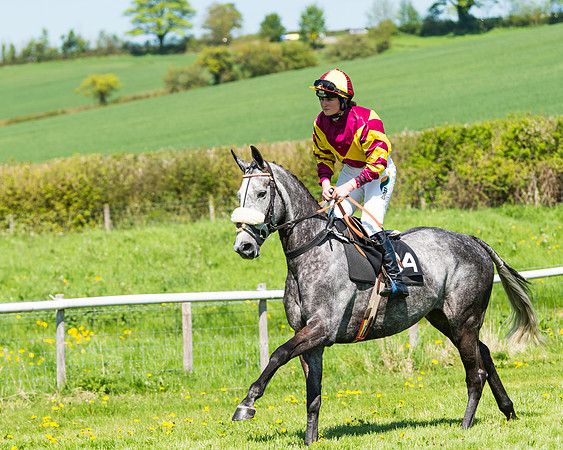 Fernie at Dingley 6th May 2018