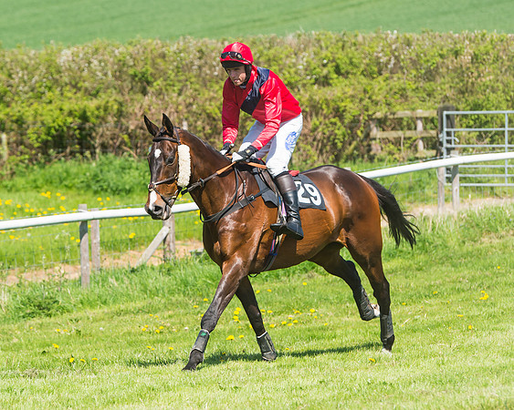 Fernie at Dingley 6th May 2018