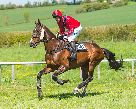 Fernie at Dingley 6th May 2018