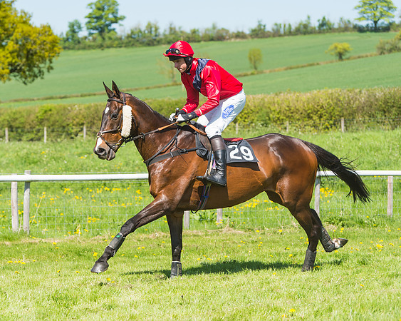 Fernie at Dingley 6th May 2018