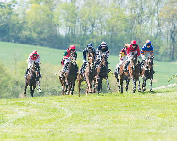 Fernie at Dingley 6th May 2018