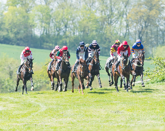 Fernie at Dingley 6th May 2018