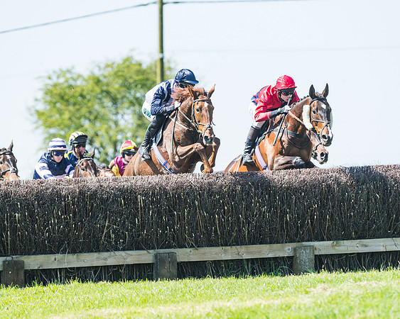 Fernie at Dingley 6th May 2018