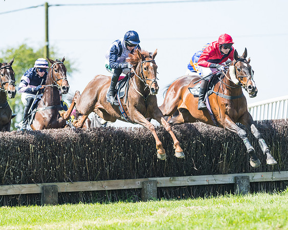 Fernie at Dingley 6th May 2018